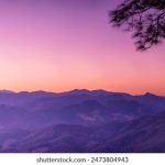 196体育官网:探索最新体育赛事与精彩直播平台 1mgzqxe