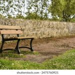 2023年最受欢迎的老虎机下载推荐与评测 i55thbr9