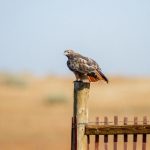 188体育娱乐:安全可靠的在线投注与娱乐体验 o8cxjon2hu