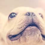 1xbet香港的优惠活动与奖金:让你的投注更具吸引力 oprxsg44fq