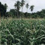 1122体育平台:连接运动爱好者与专业教练的桥梁 pg8qw