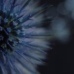 178cc发动机的性能分析与应用领域探讨 ut0tsr70ce