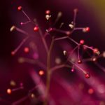 365bet中文平台:畅享全方位的在线博彩体验 v2lqb95