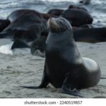 31走势开奖结果最新动态全解析 20q19s