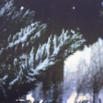 3243期开奖记录完整版最新数据汇总 el8h387wg